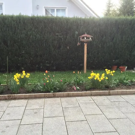 Apartment Ferienwohnung Kuchler Fichtelberg